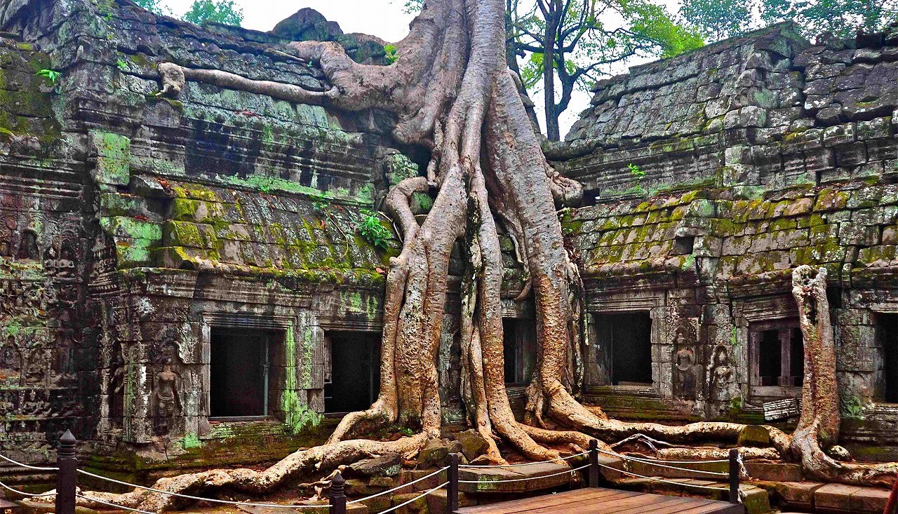 attraction-Ta Prohm Temple Daily Tours.jpg